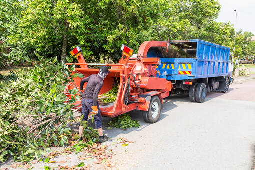 Tree services in Beverly Hills offers tree removal, tree cutting, tree care, stump removal, stump grinding and consultation with professional arborists and all with 100% money back satisfaction	